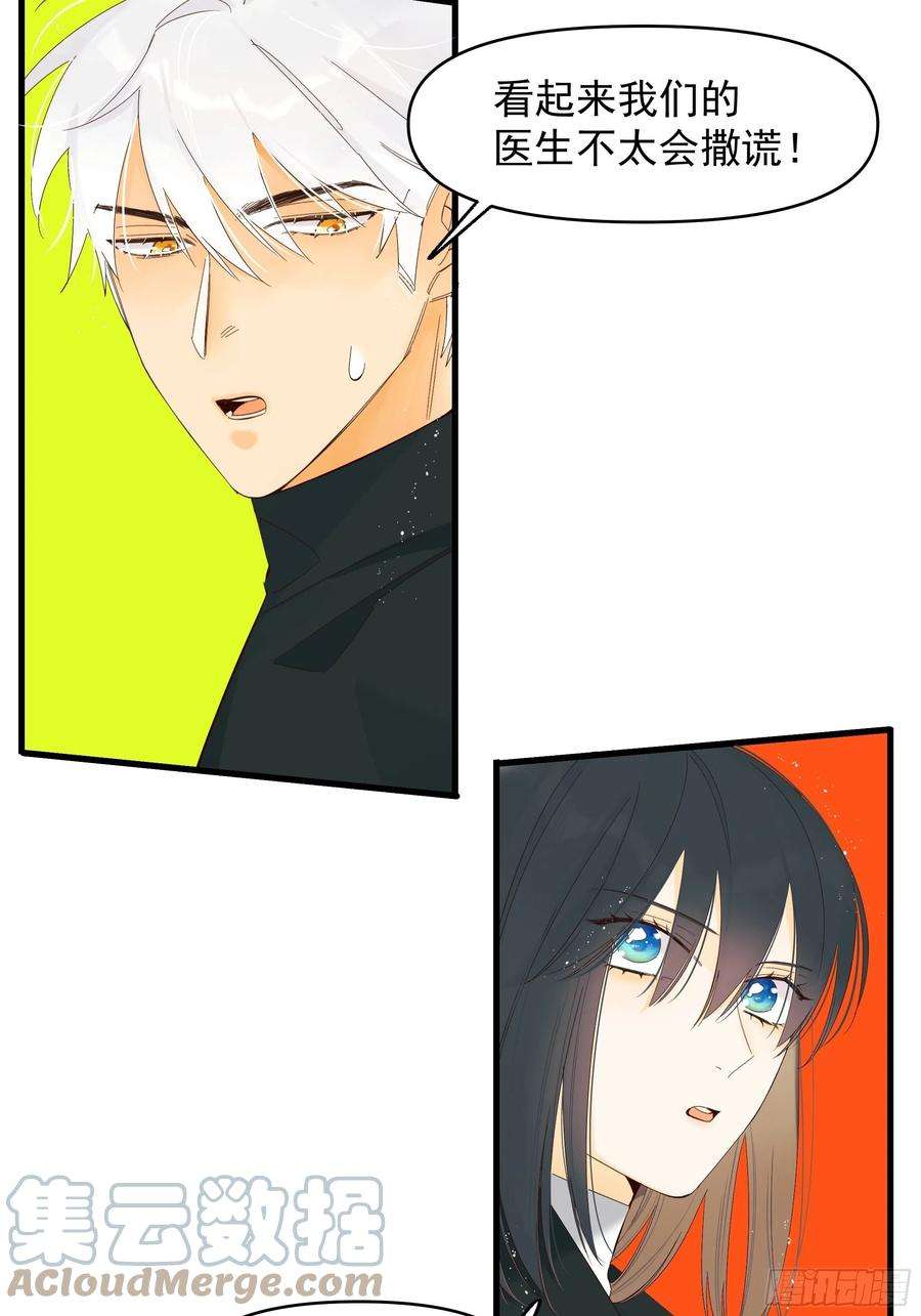 种子与十日十夜爱情与勇气