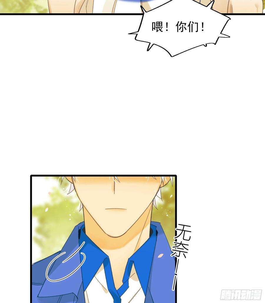 种子与十日十夜熊猫的高中生活