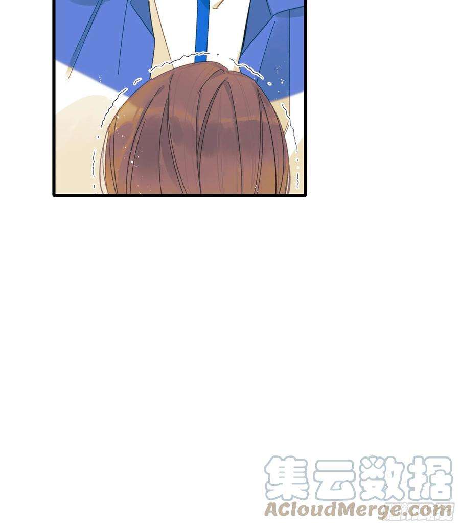 种子与十日十夜熊猫的高中生活