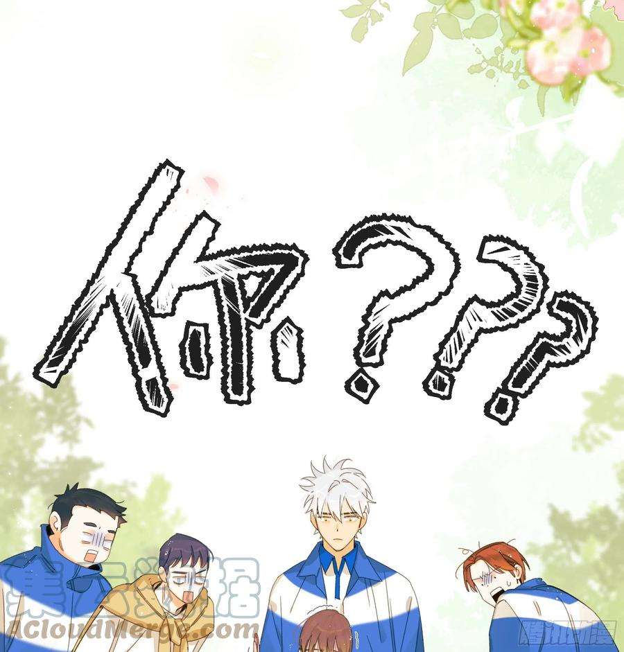 种子与十日十夜熊猫的高中生活