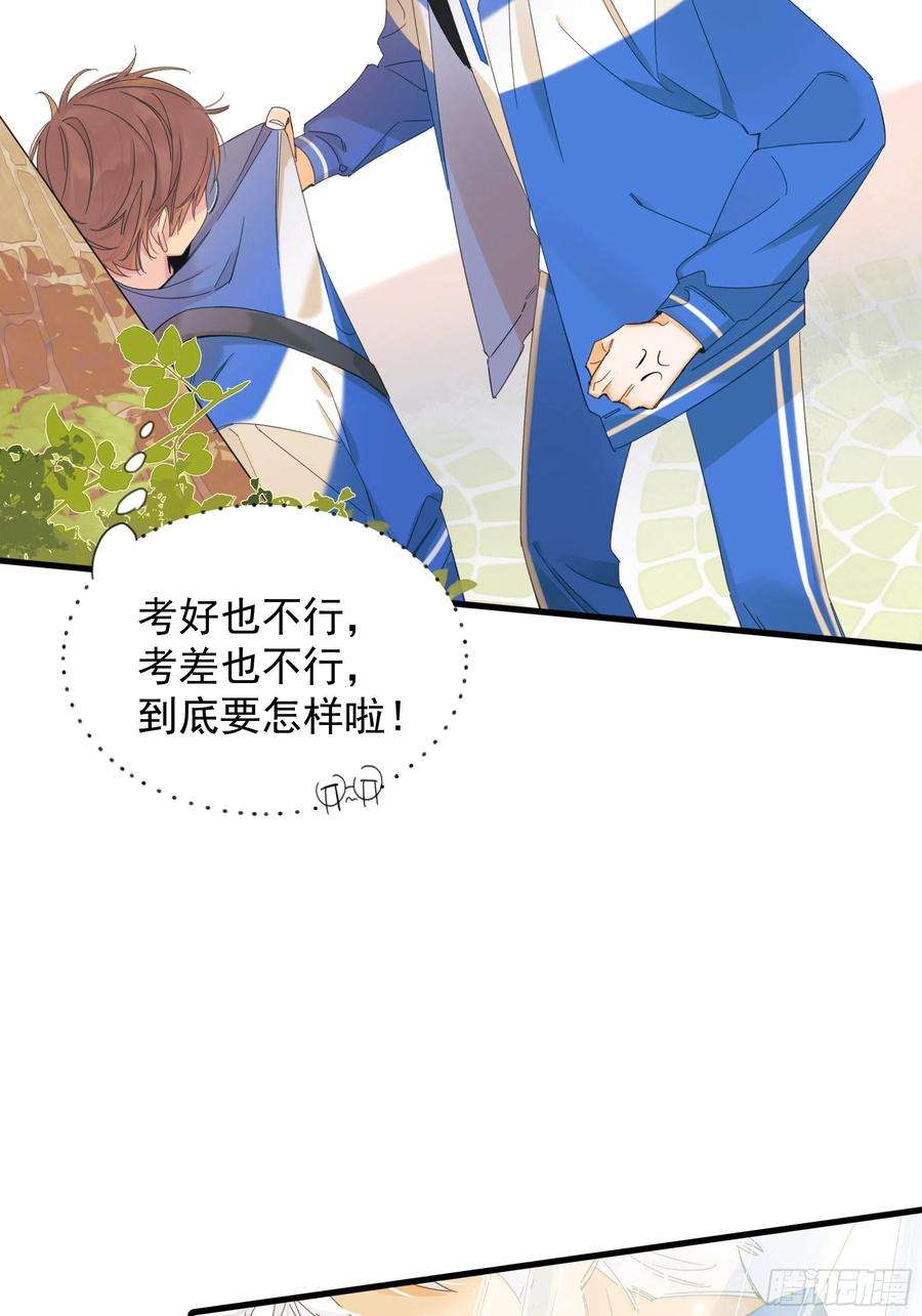 种子与十日十夜熊猫的高中生活