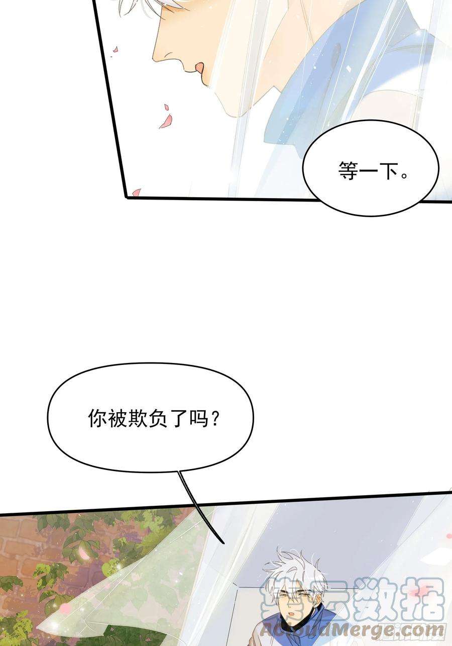 种子与十日十夜熊猫的高中生活