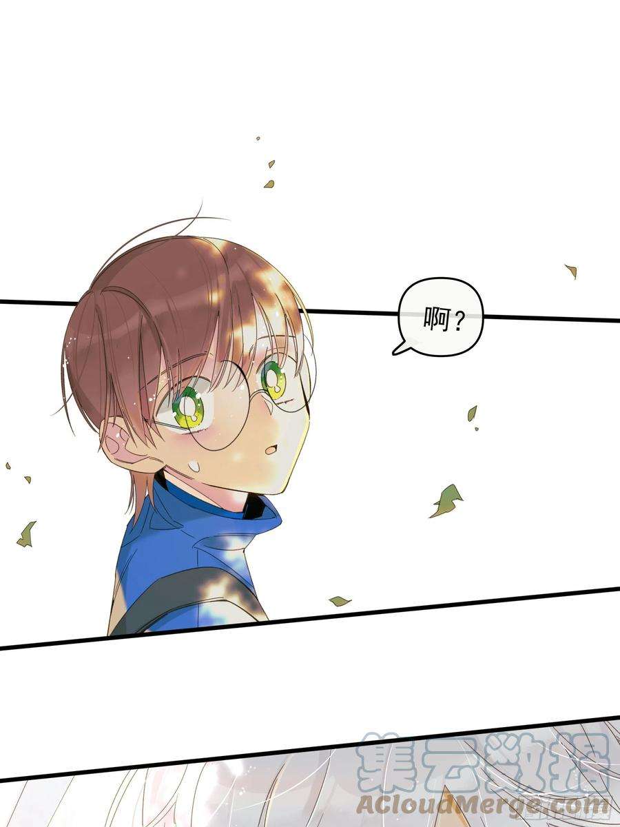 种子与十日十夜熊猫的高中生活