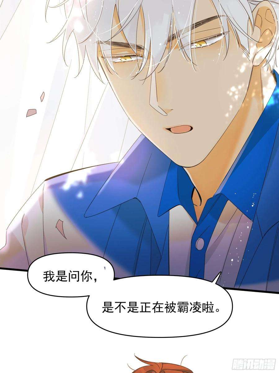 种子与十日十夜熊猫的高中生活