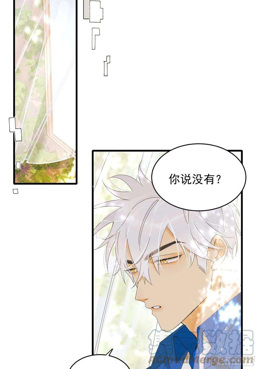 种子与十日十夜熊猫的高中生活