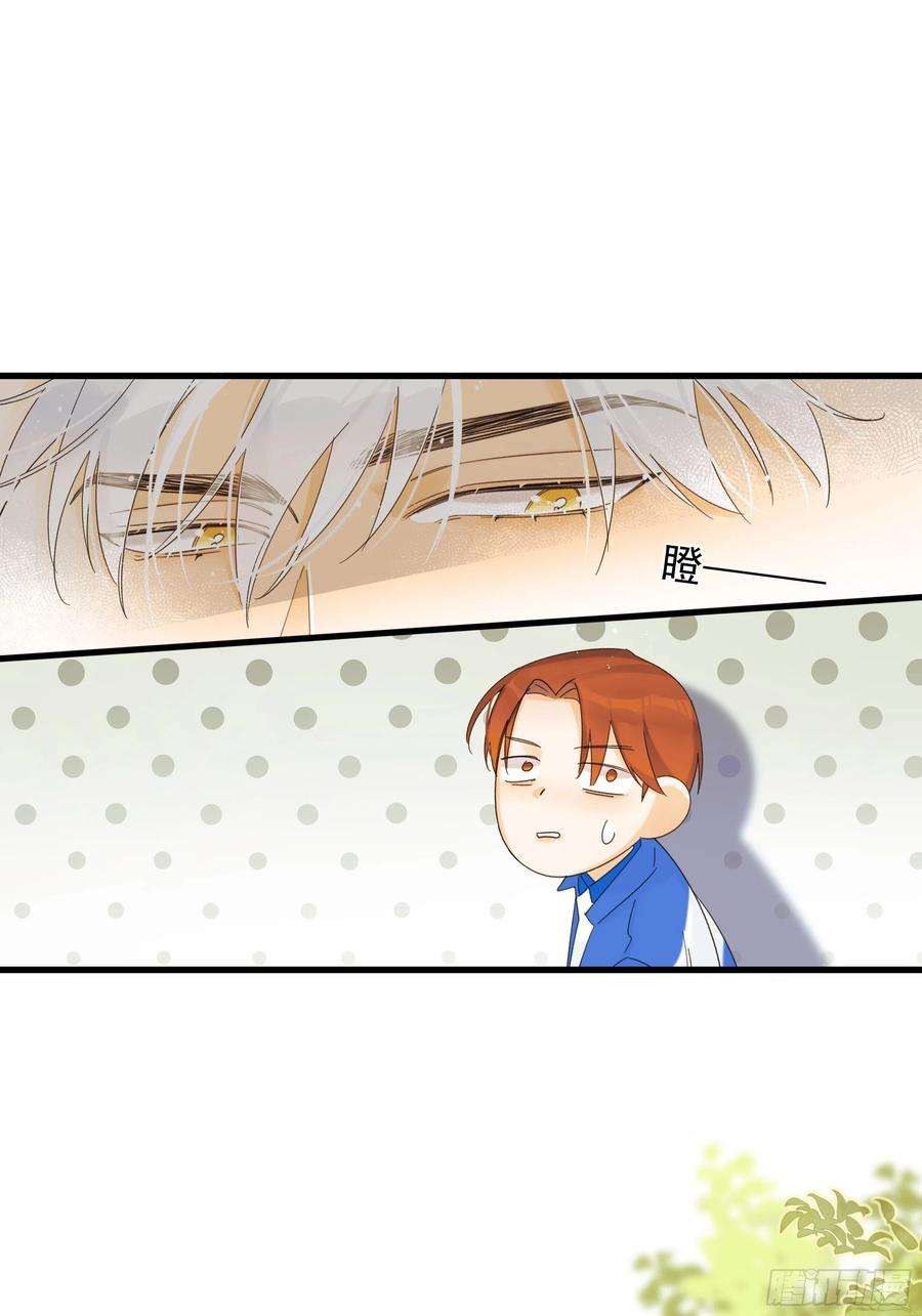 种子与十日十夜熊猫的高中生活