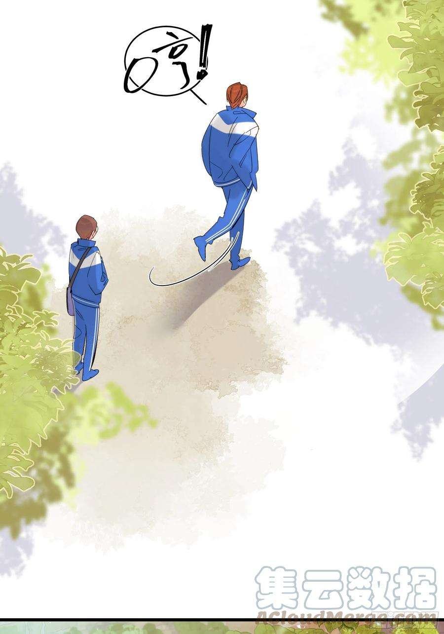 种子与十日十夜熊猫的高中生活