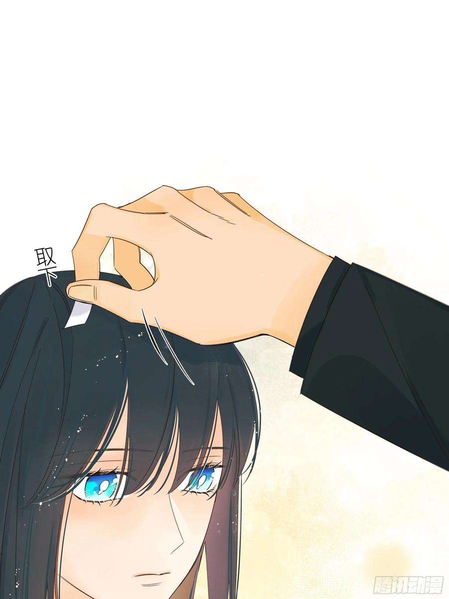 种子与十日十夜熊猫的高中生活