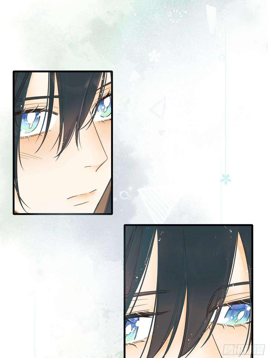 种子与十日十夜熊猫的高中生活