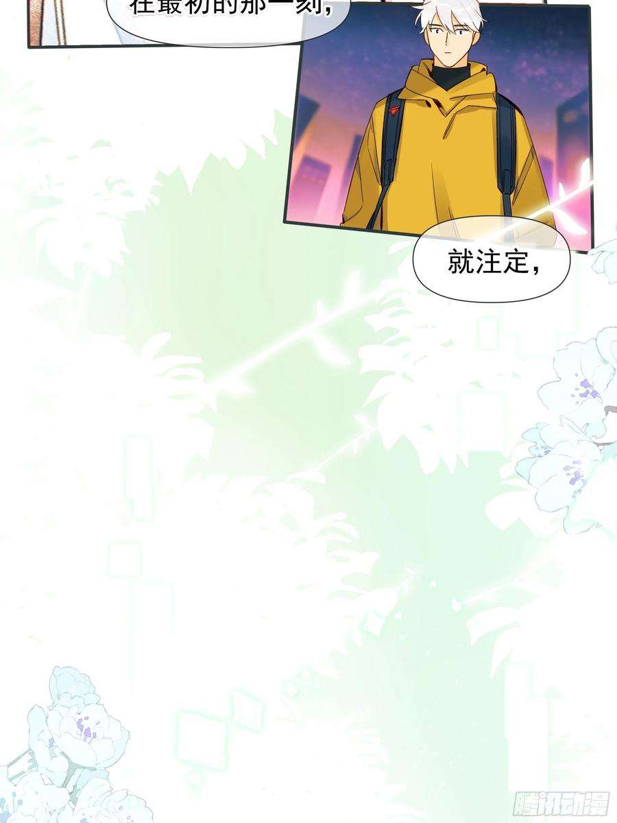 种子与十日十夜熊猫的高中生活