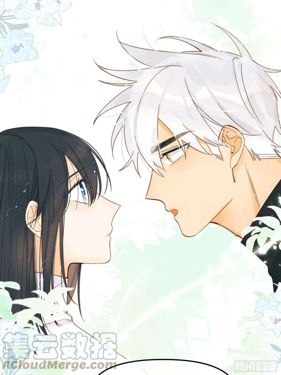 种子与十日十夜熊猫的高中生活