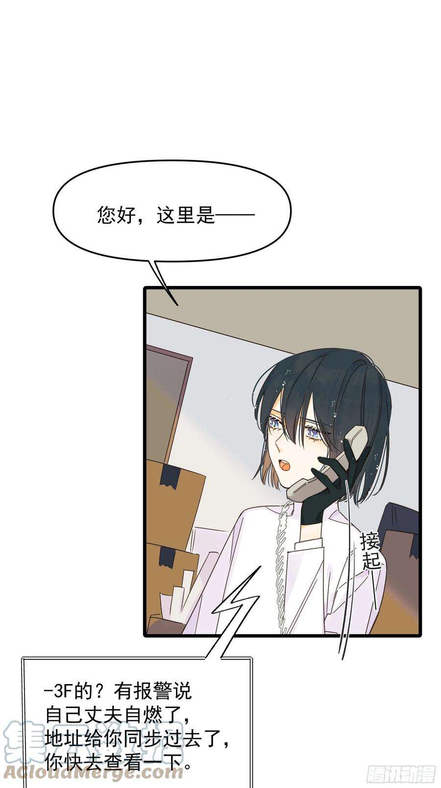 种子与十日十夜搭档