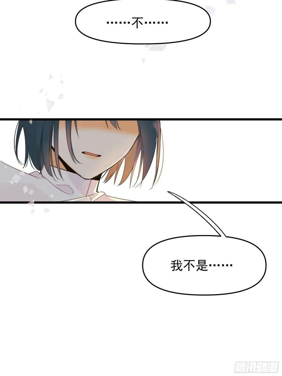 种子与十日十夜搭档