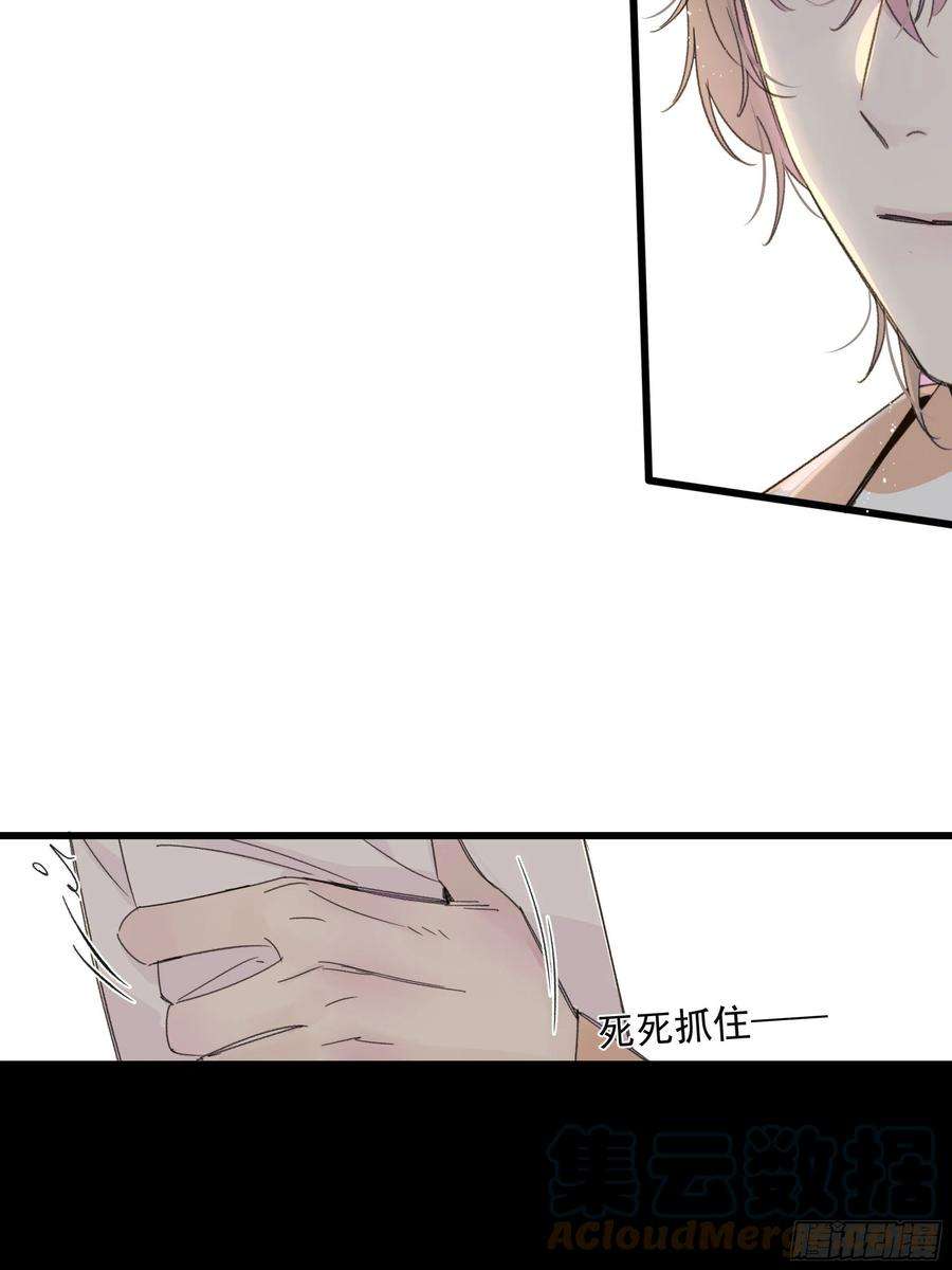 种子与十日十夜搭档