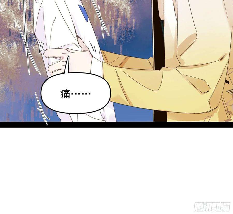 种子与十日十夜搭档