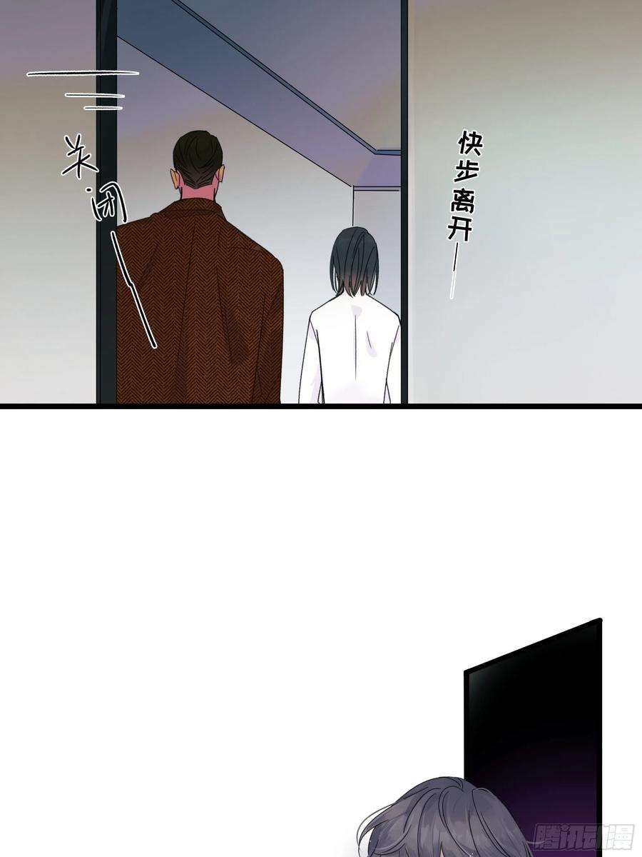 种子与十日十夜搭档