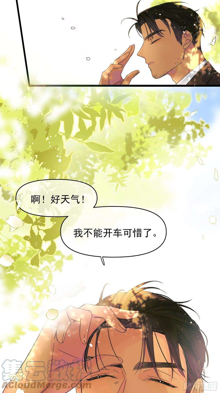 种子与十日十夜搭档