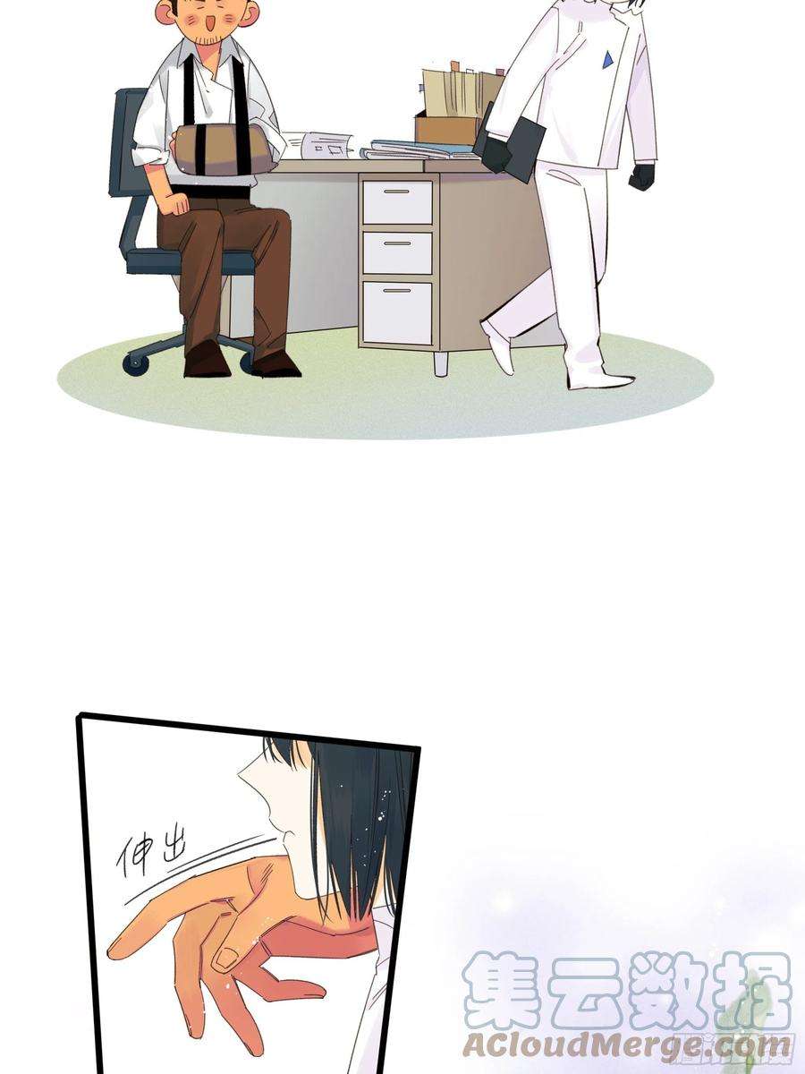 种子与十日十夜美梦