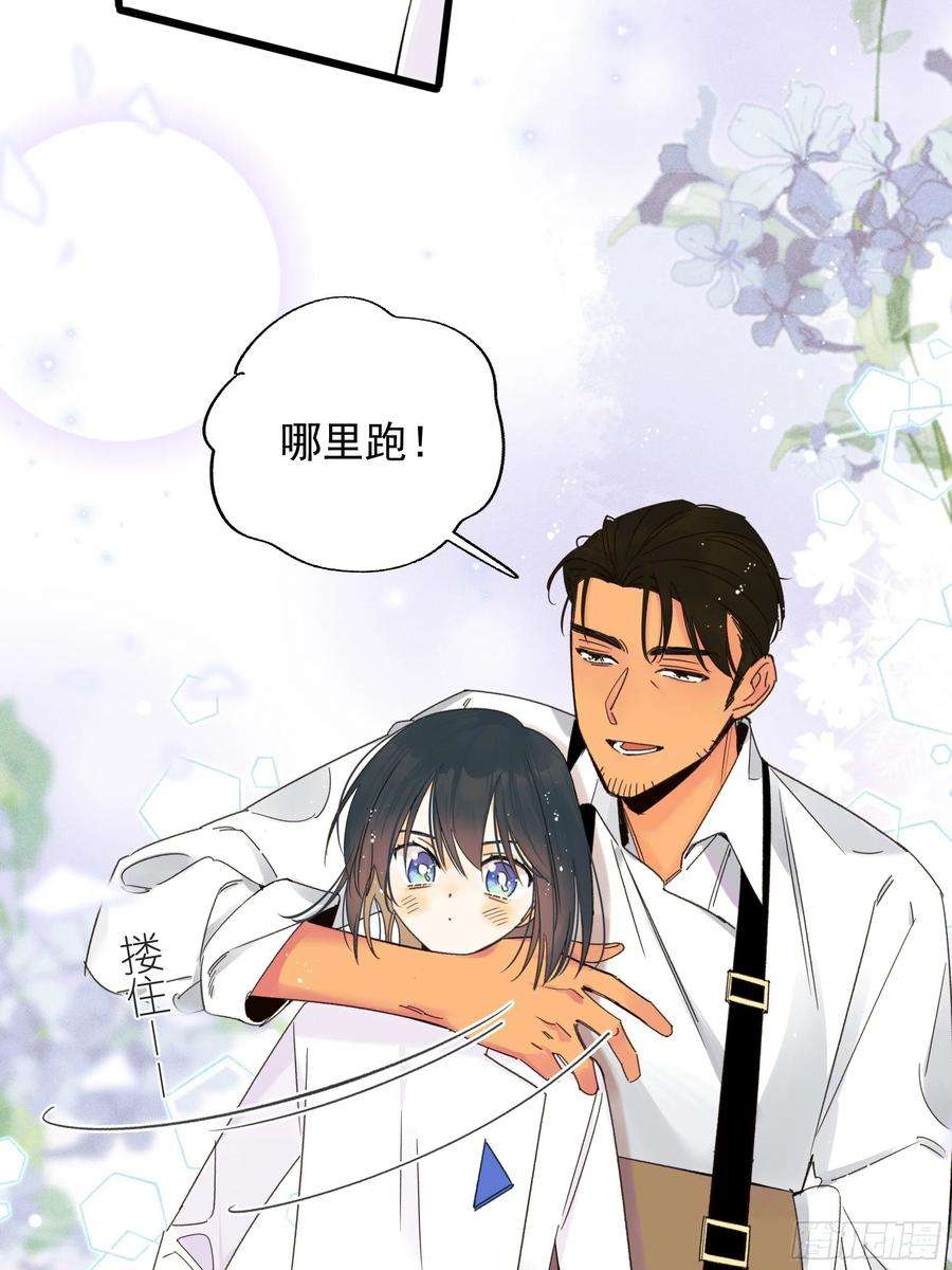 种子与十日十夜美梦