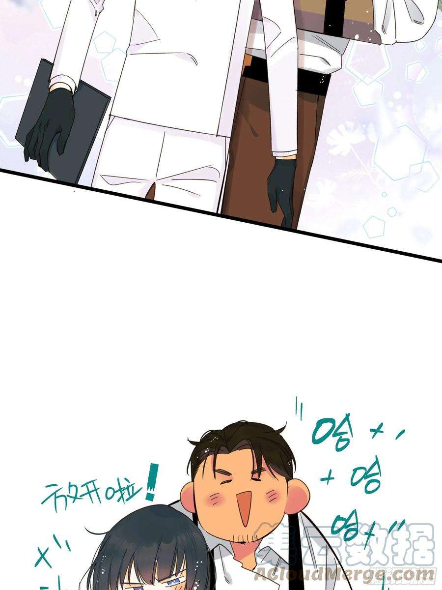 种子与十日十夜美梦