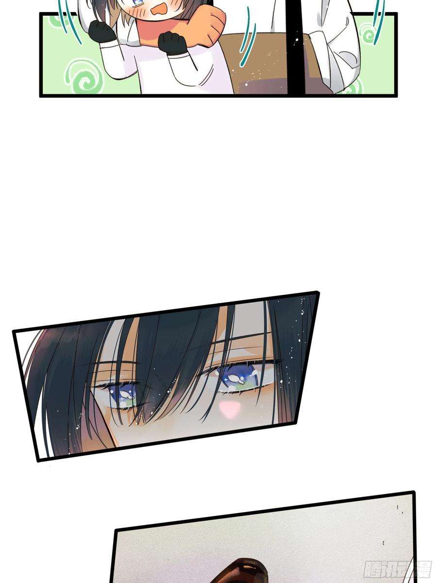 种子与十日十夜美梦