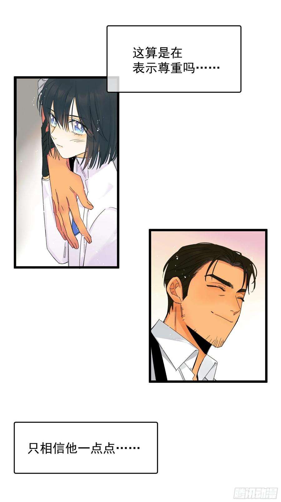 种子与十日十夜美梦