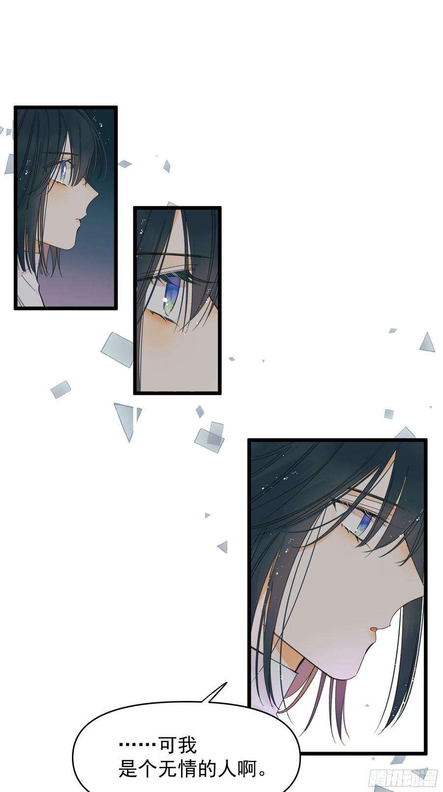 种子与十日十夜美梦