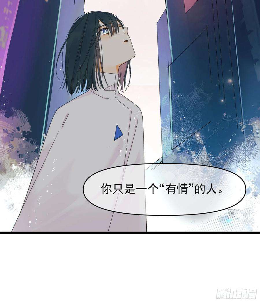 种子与十日十夜美梦