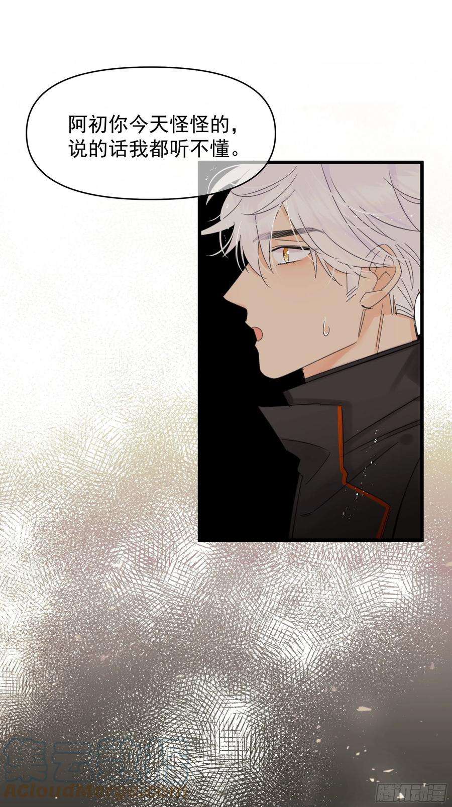 种子与十日十夜美梦