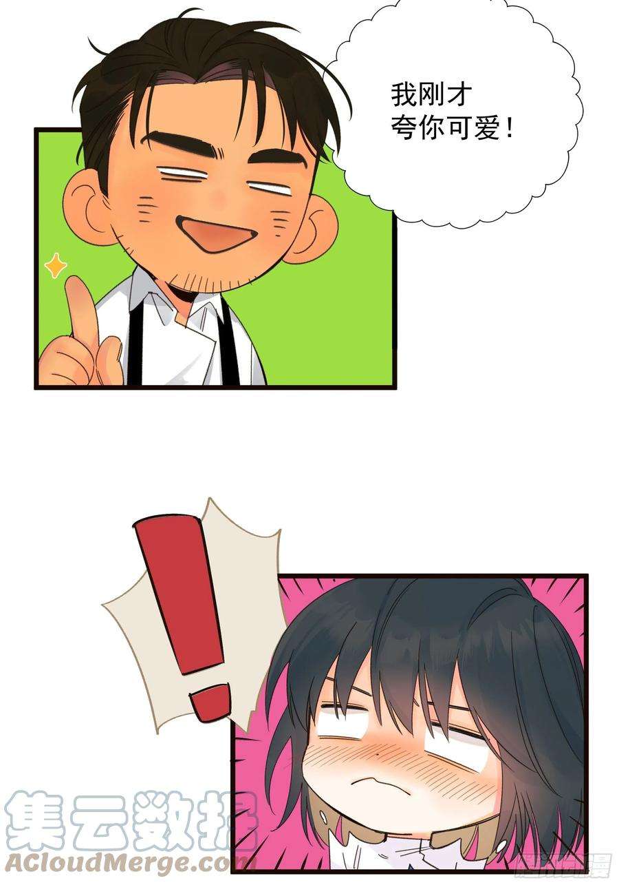 种子与十日十夜美梦