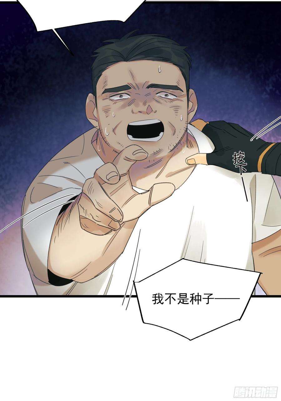 种子与十日十夜恶性发展