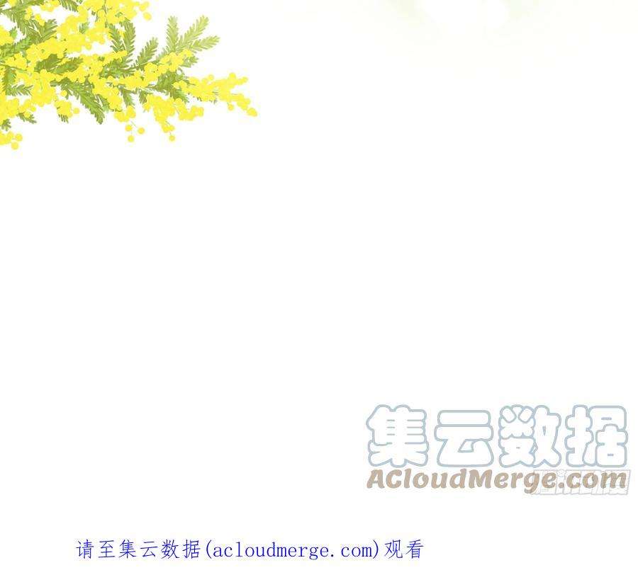 种子与十日十夜笑