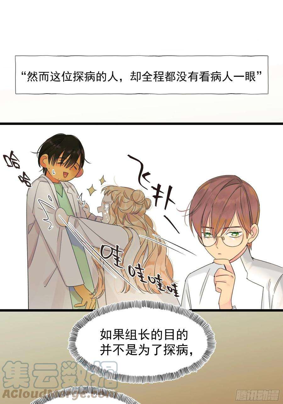 种子与十日十夜过保护