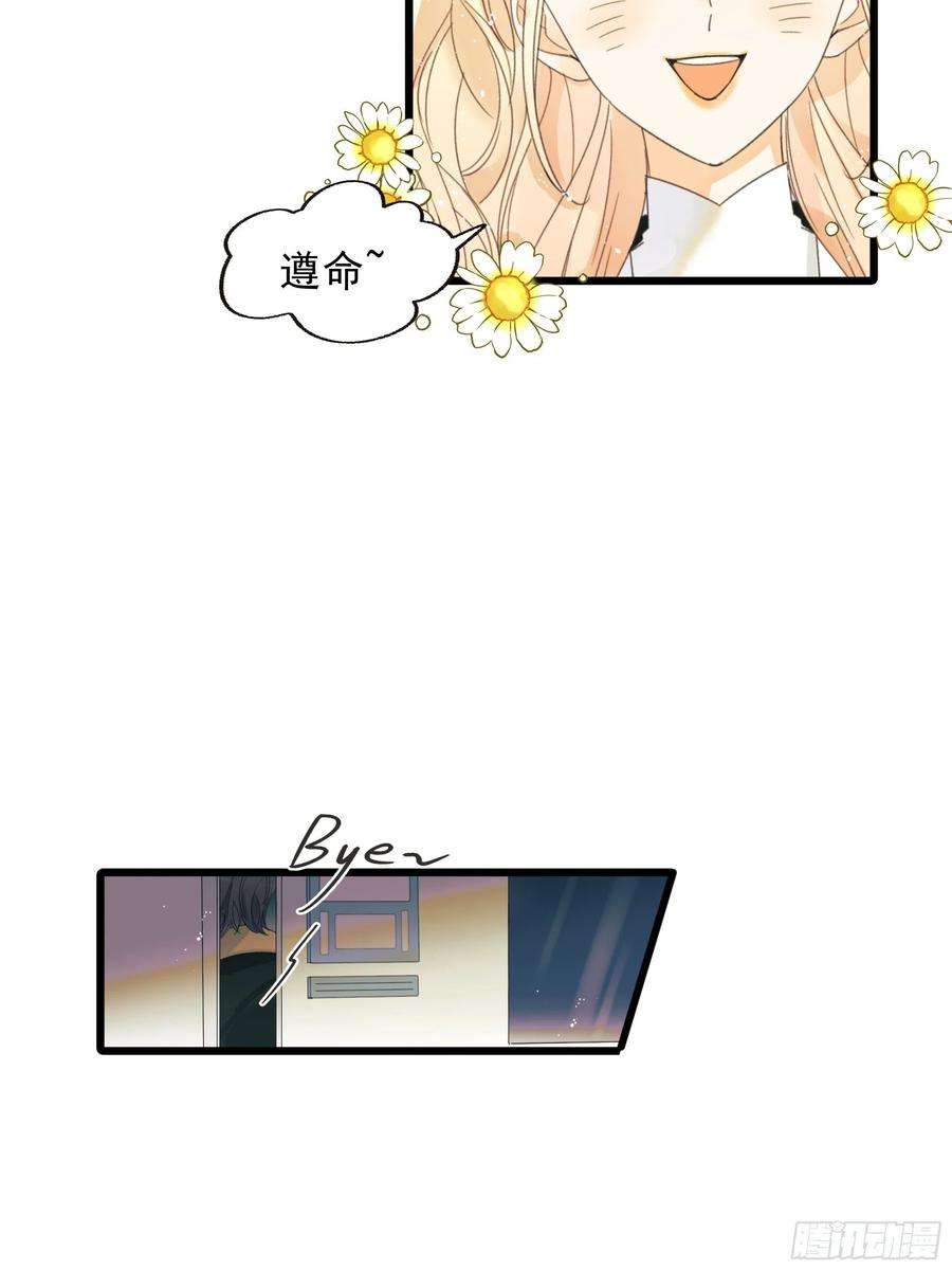 种子与十日十夜过保护