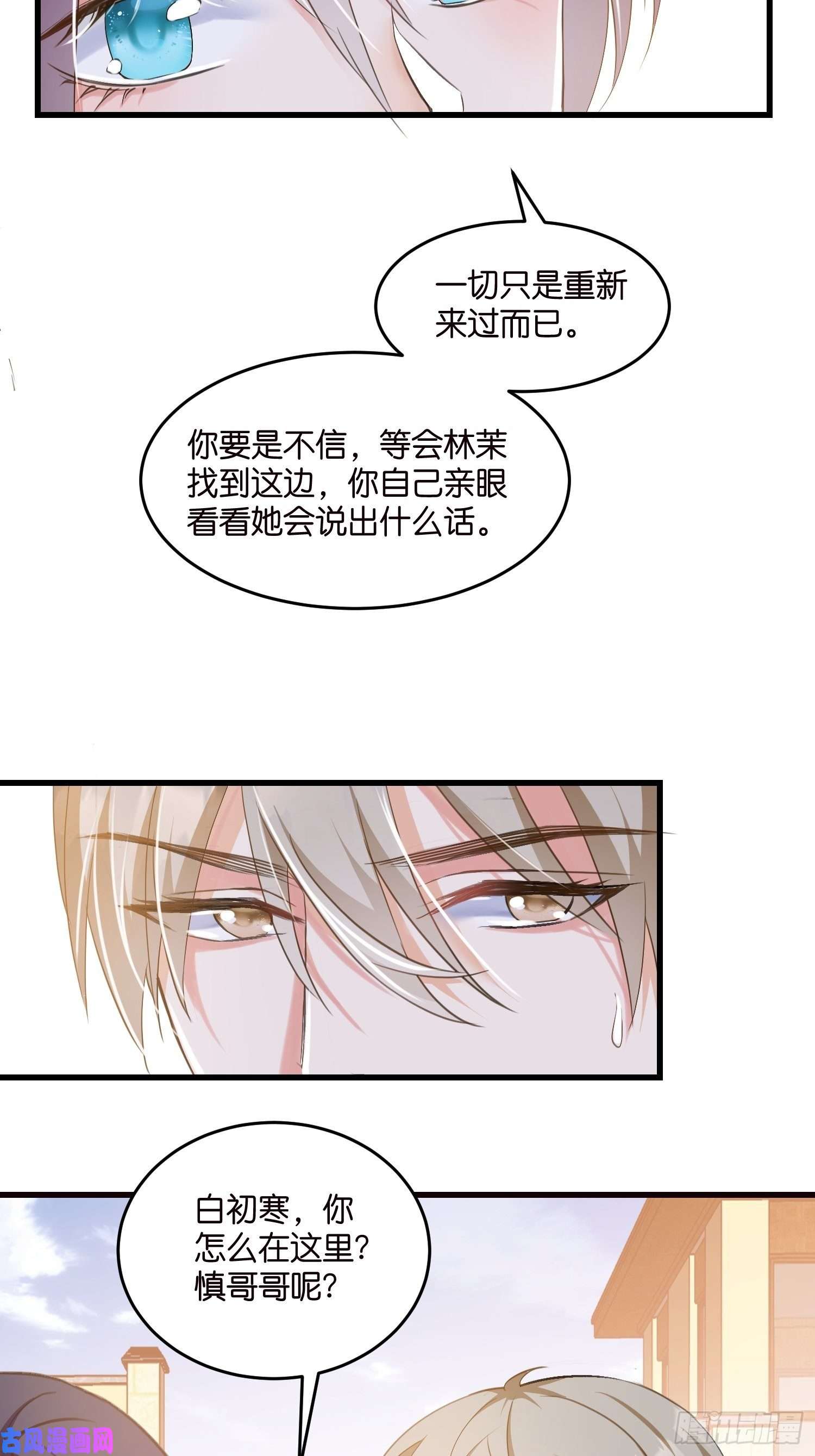 宋先生请冷静05 我的盟友