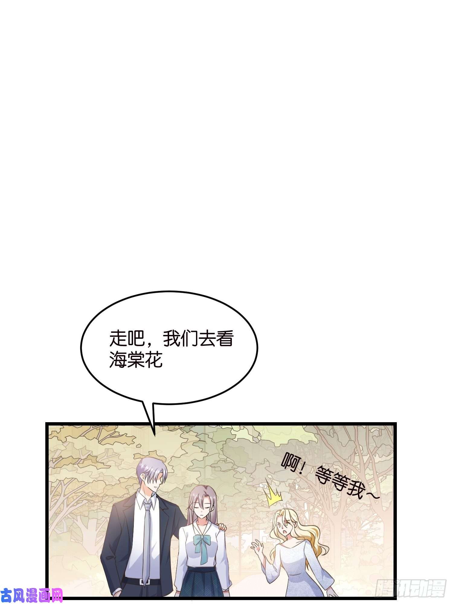 宋先生请冷静07 以退为进