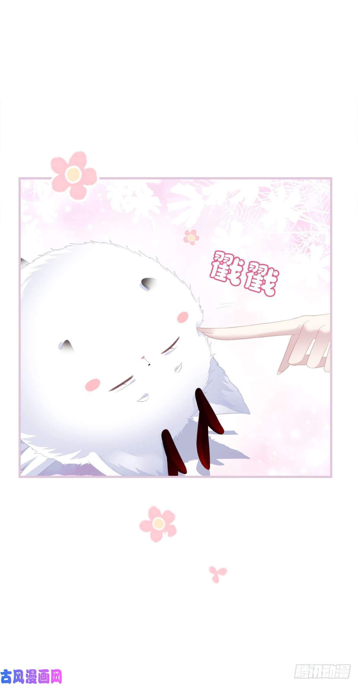 黑化大佬驯养指南未婚夫变小宠物！