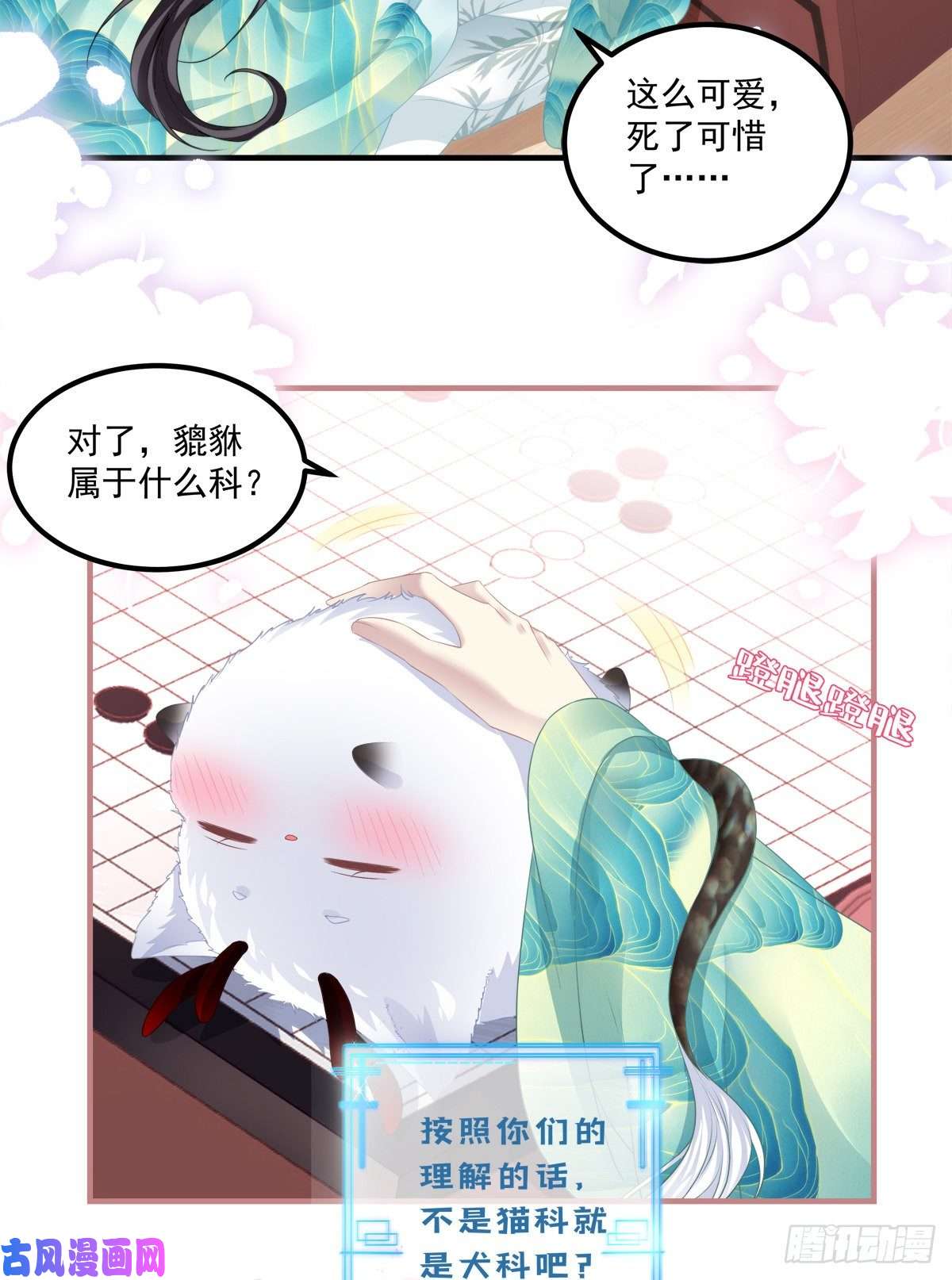 黑化大佬驯养指南未婚夫变小宠物！