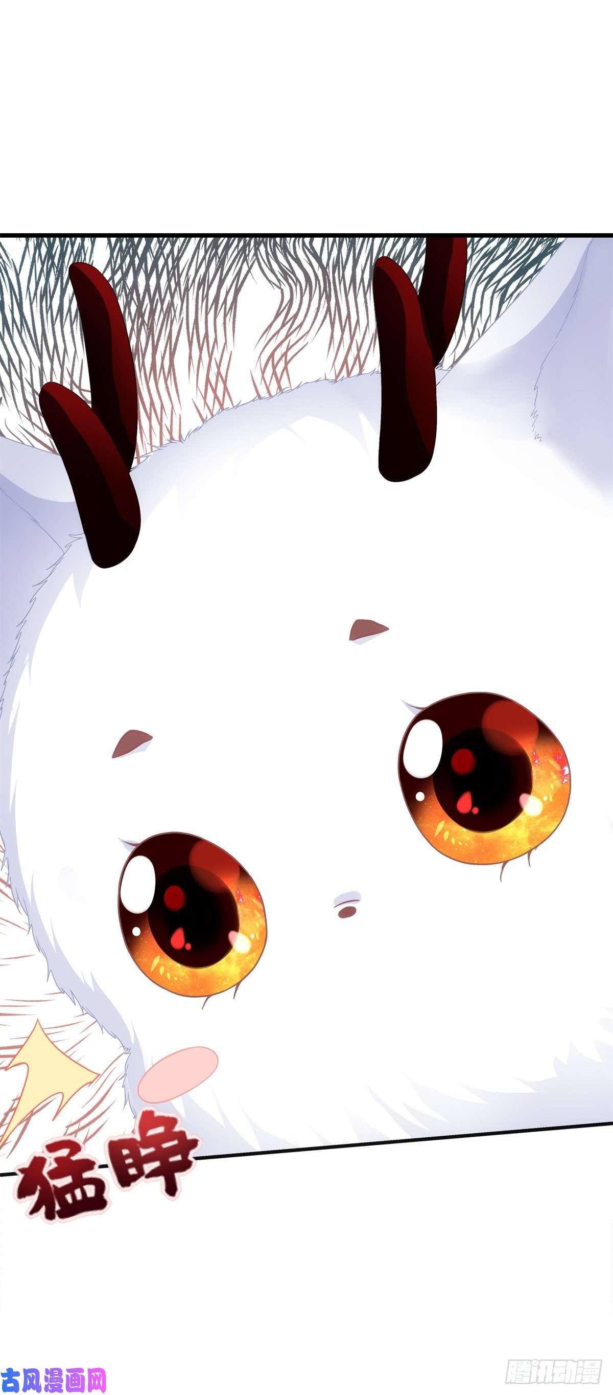 黑化大佬驯养指南未婚夫变小宠物！