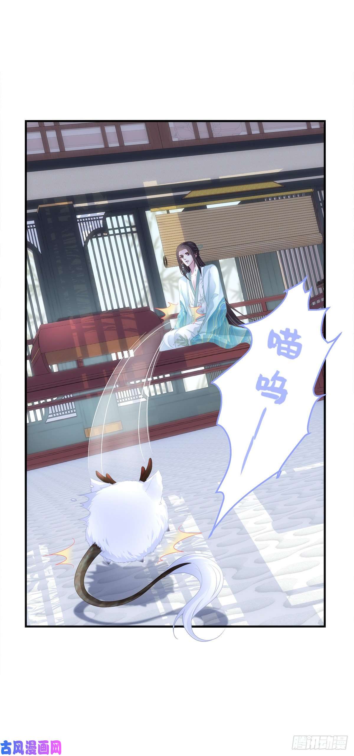 黑化大佬驯养指南未婚夫变小宠物！