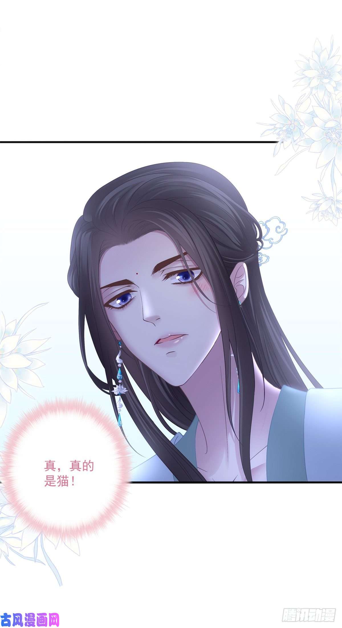 黑化大佬驯养指南未婚夫变小宠物！