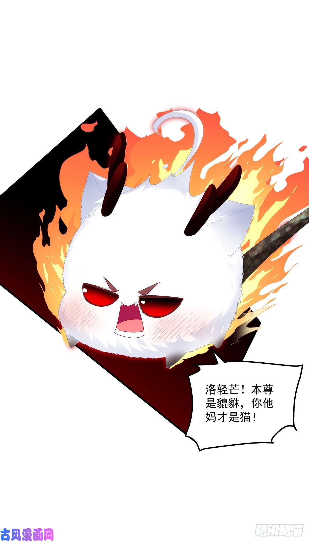 黑化大佬驯养指南共枕同眠！