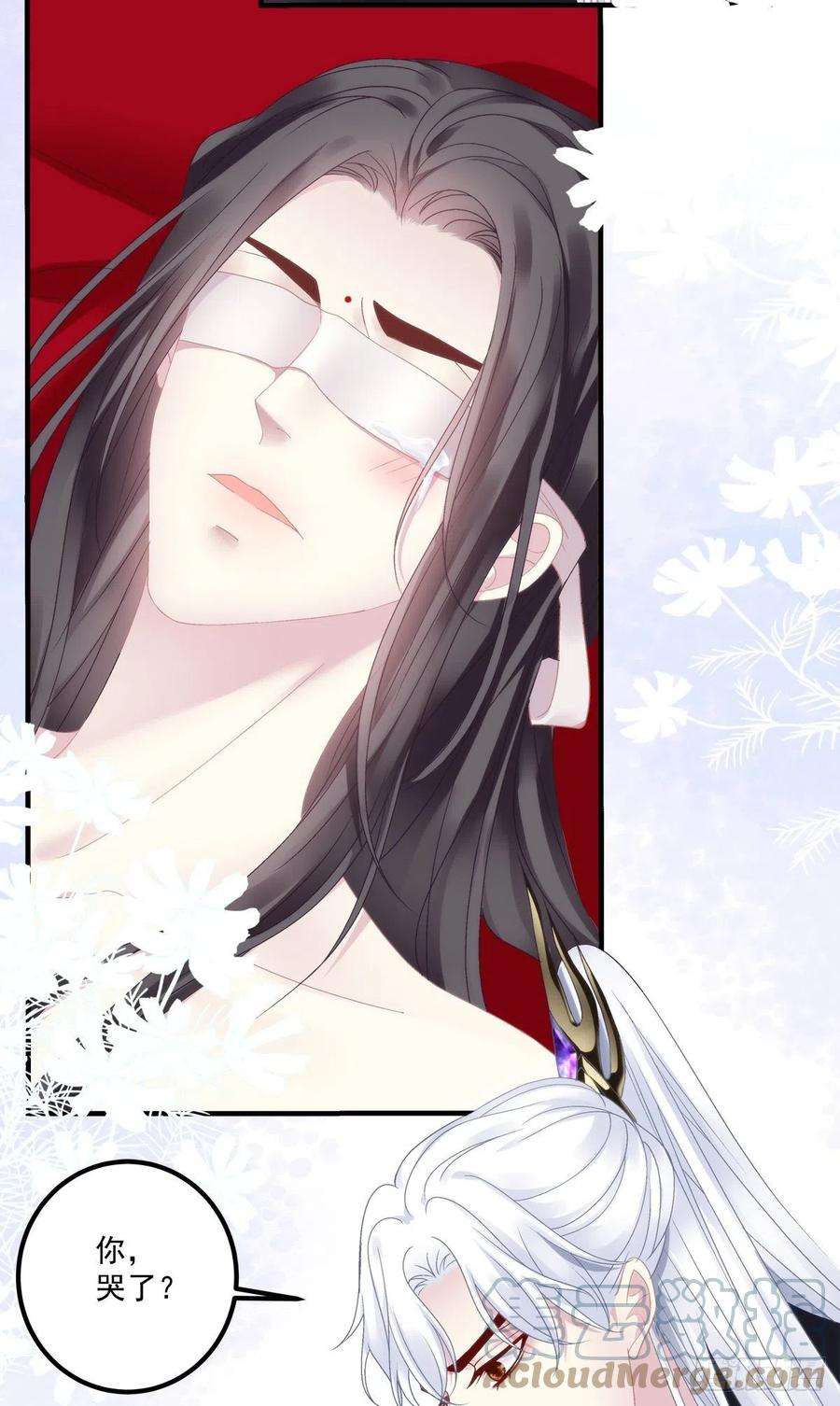 黑化大佬驯养指南前狼后虎！