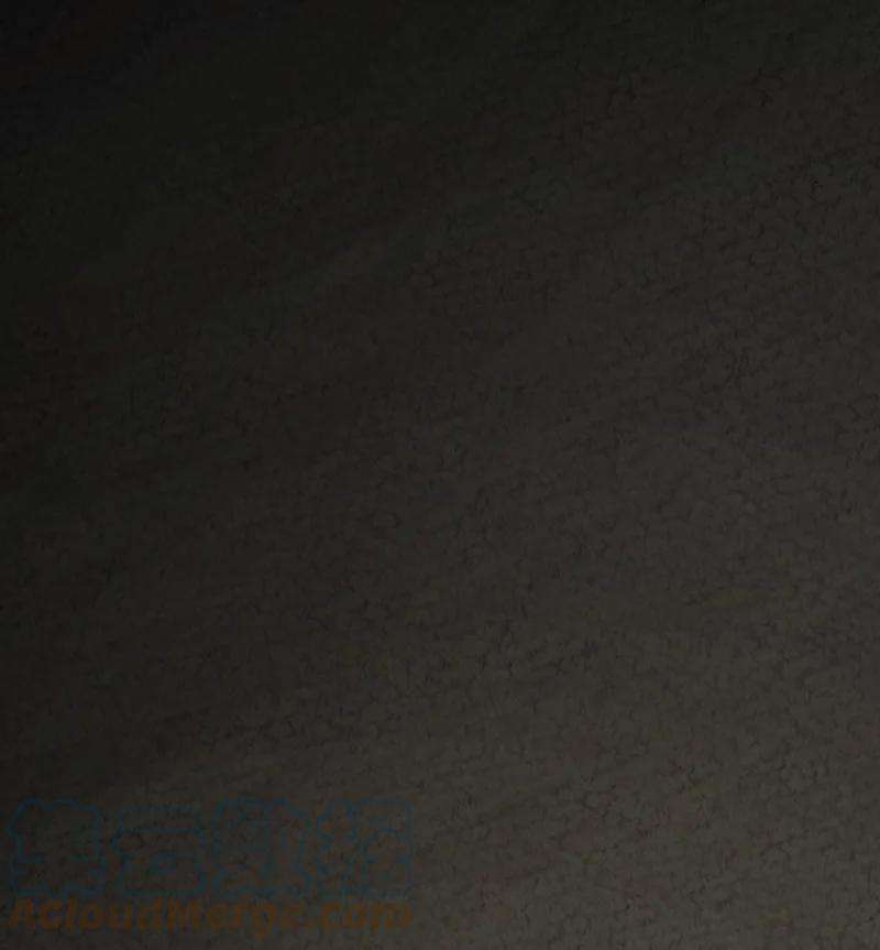 你真是个天才026 幸不辱命