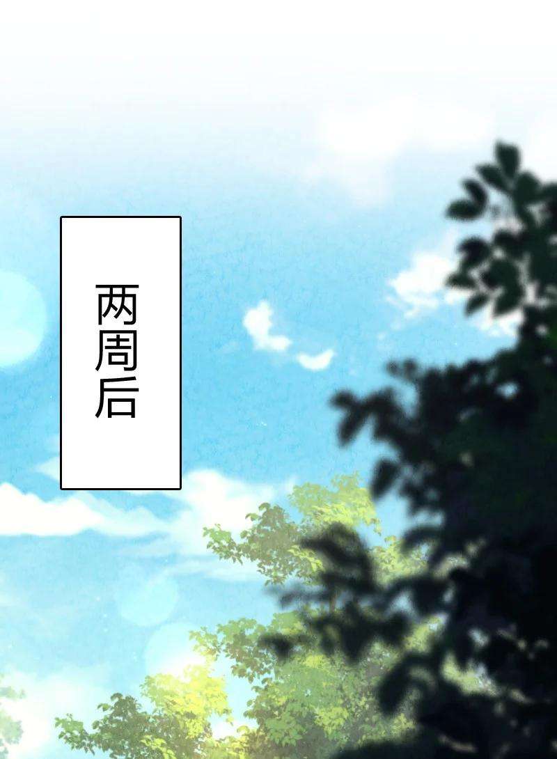 你真是个天才042 广域迷离域