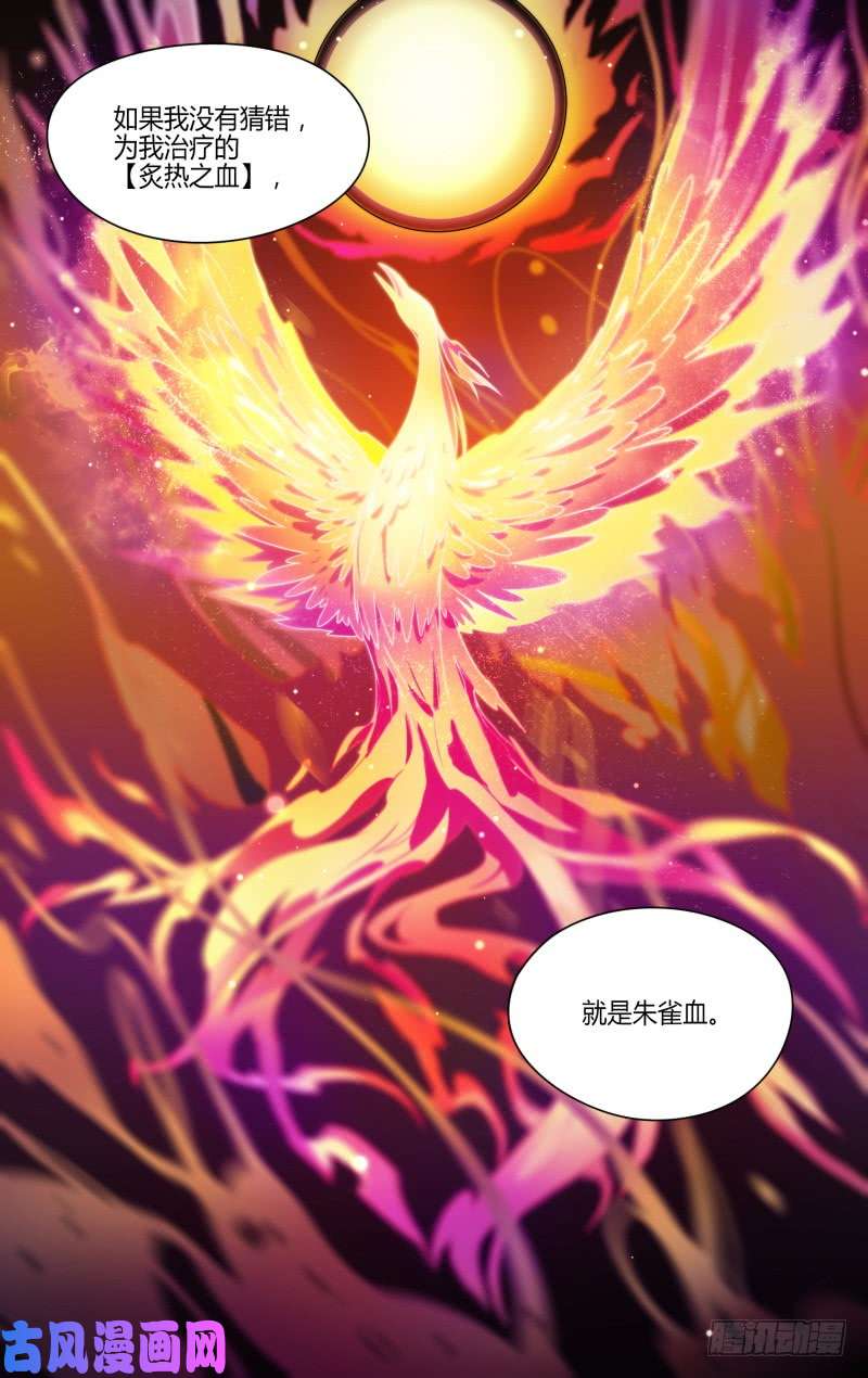 超神灵主114话.朱雀往事