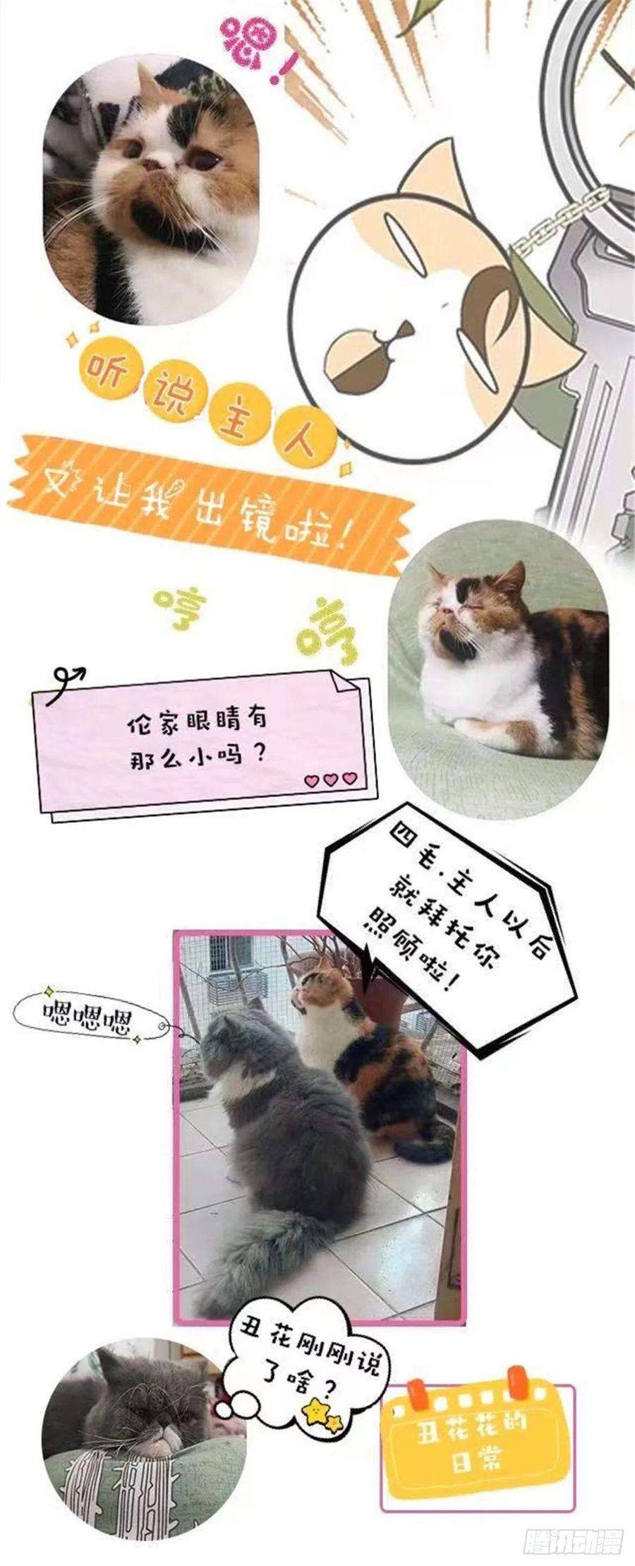 萌宝一加一八十二话 她的孩子更出色