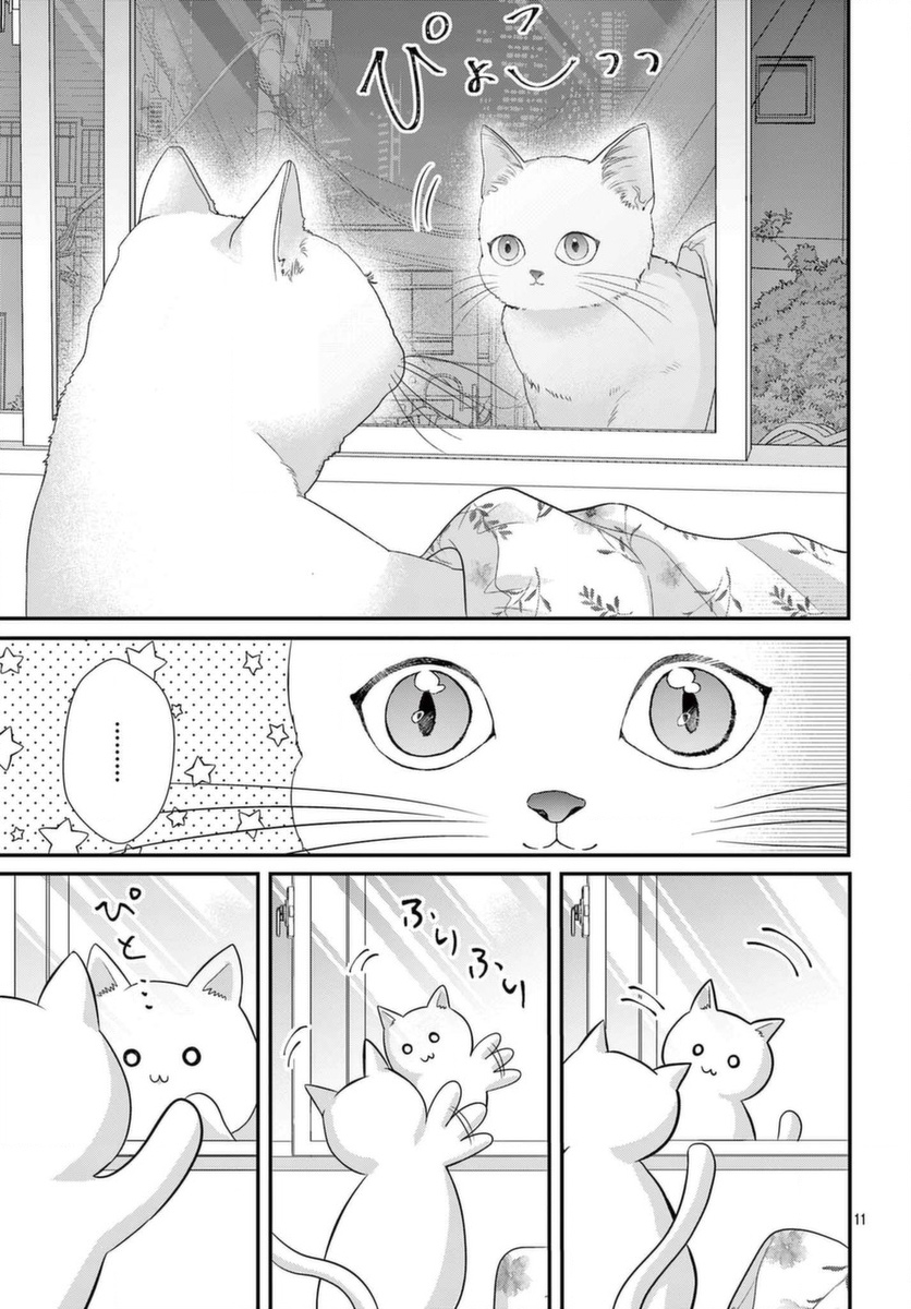 快来宠我嘛！我可是猫猫第01话
