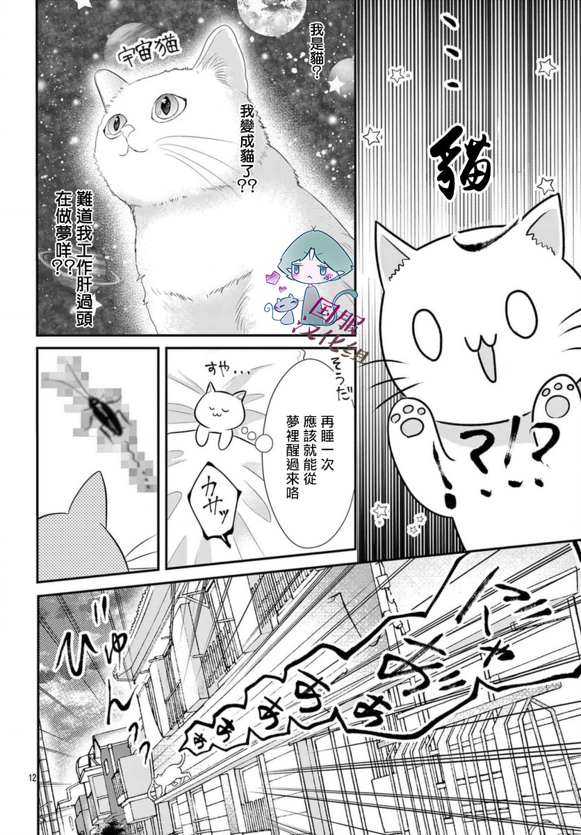 快来宠我嘛！我可是猫猫第01话