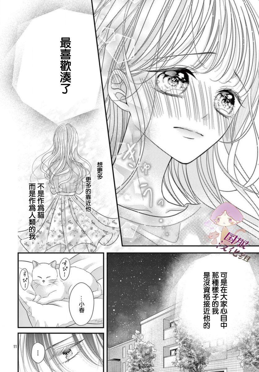 快来宠我嘛！我可是猫猫第02话